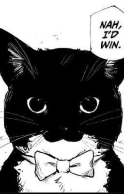 Магические фамильяры - безумие