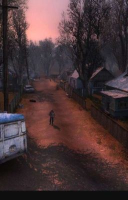   S.T.A.L.K.E.R(война группировок)