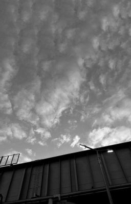 Алешка Дурачок