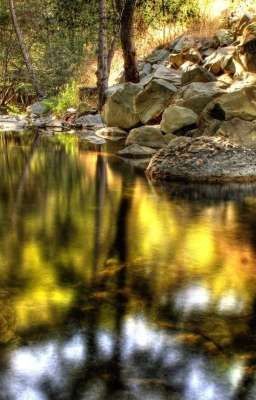  Книги на Wattpad. Тем кто не знает что почитать. Добро пожаловать 