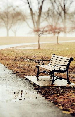 Автобусная любовь