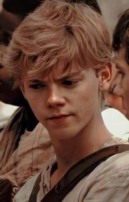 Таинственный лес 2. Городские блоки. 