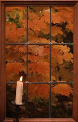 Приёмная 🔞