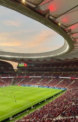 Нас связал футбол