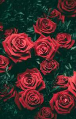 Мы и Вампиры