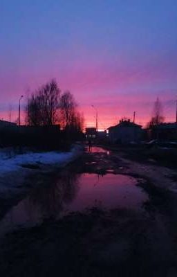 5 волшебниц