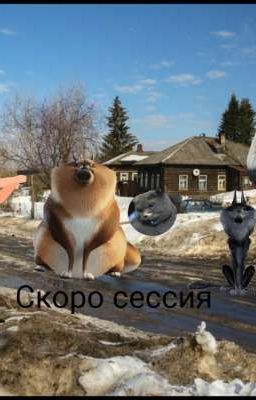Подростковая Жизнь 