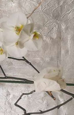 Неудачный оборотень