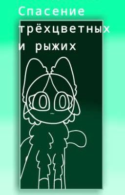 Звёздочка: спасение трёхцветных и рыжих