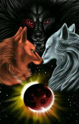 Война двух миров.