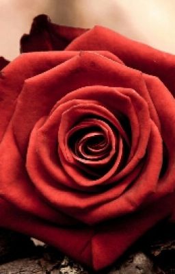 Одна Попытка ❤