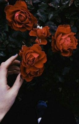 Мой любимый сосед