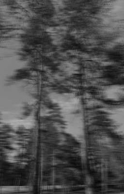 Сложная жизнь. 