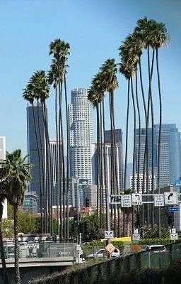 Богатая жизнь