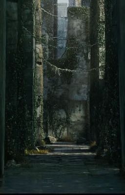 лабиринт странностей