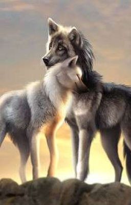 Плата За Любовь