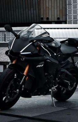 ♡ Перевоспитание ♡/завершено