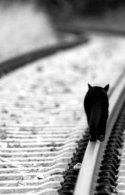 Страдания? Боль? Смерть?Ха,мягко сказано.