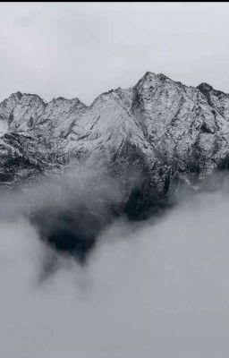 Вопросы В Маршрутке