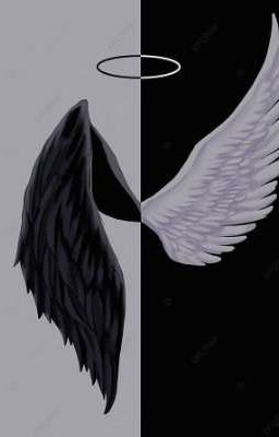 •Ангельский путь•