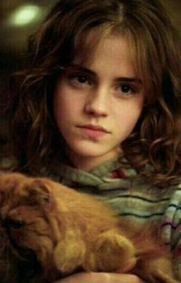 История третья. Гермиона Грейнджер и узники Хогвартса