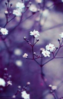 Стихи с Северусом Снейпом