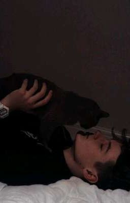 Мне нужна твоя сестра