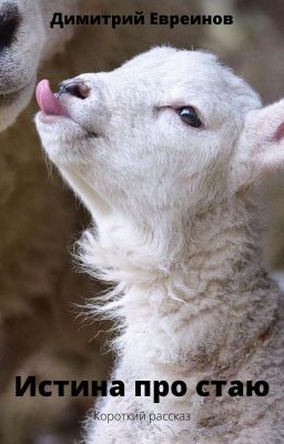 Истина про стаю