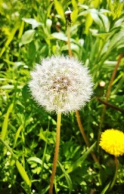 счастье, богатство, любовь. Мы ими Не гордимся