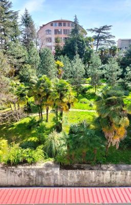 Сага драконов 