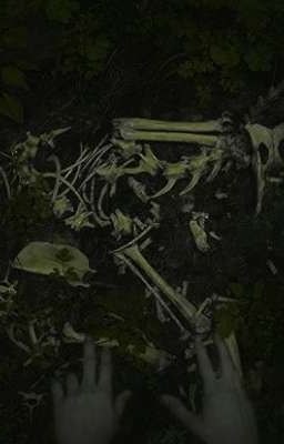 Кости шепчут правду