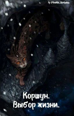 Коты воители. Коршун. Выбор жизни.