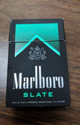 Новая Жизнь