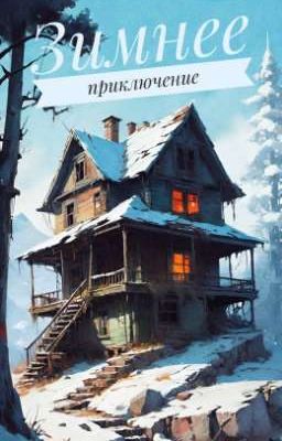 Зимнее приключение
