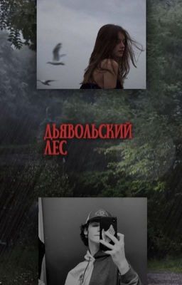 Дьявольский лес. //payton