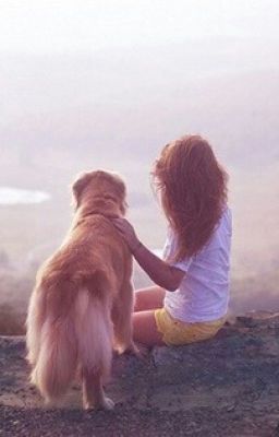 Из Историй Про Новый Орлеан.