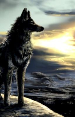 Кто такие жители ночи? Или пособие:"Как выжить среди оборотней"