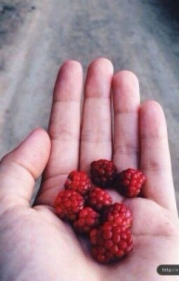 Дельфины молчат вслух