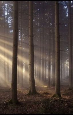 Я еще не все сделал, что бы умереть...