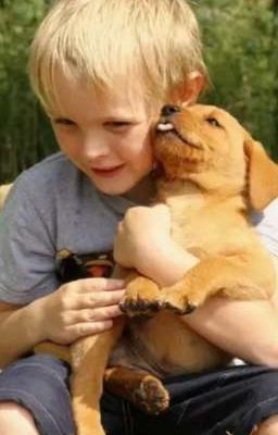 Макс и его лучший друг