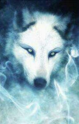 Два в одном. Академия вампиров и оборотней(в произведении присутствует нецензур)