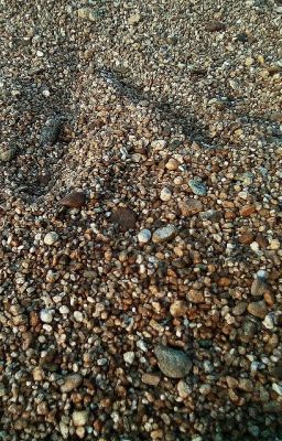 Её Новая Жизнь