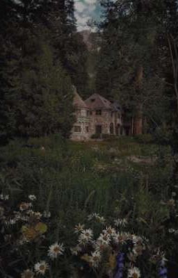 За границами внешнего мира