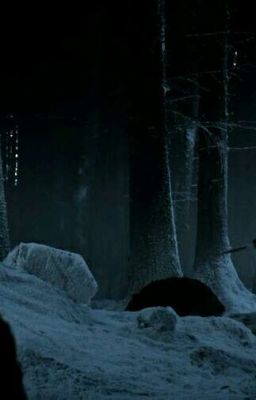 Мы не одни...