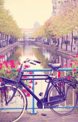 Один и навсегда... 