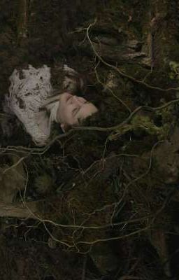 Потерянное солнце