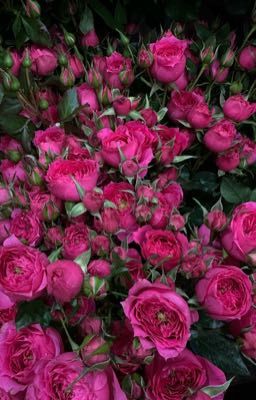 Поэзия. Стихи веющие апрельским дождем