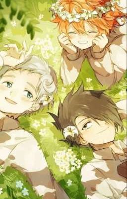 [ЗАБРОШЕН]Обещанный неверленд.Новая героиня 