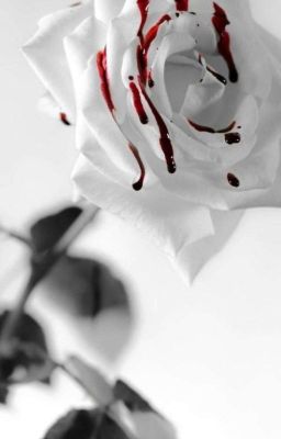 Жизнь ангела в собственной крови 