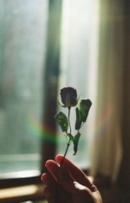 подари мне небо